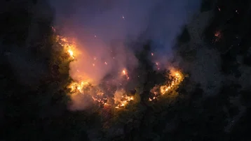 Munzur Vadisi Milli Parkı'nda orman yangını