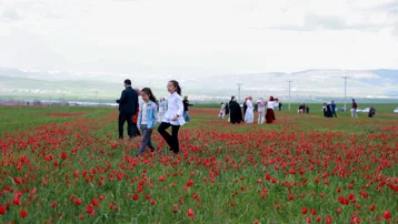 Türkiye'nin en büyük üçüncü ovasına akın ettiler. Sadece 15 gün sürüyor