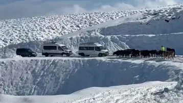Muş'ta 14 köy yolu kardan kapandı