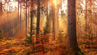 Mevsimlerin senkronize olmadığı ortaya çıktı