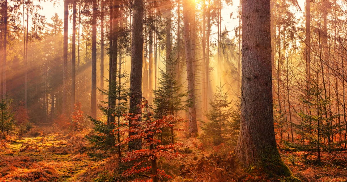 Mevsimlerin senkronize olmadığı ortaya çıktı