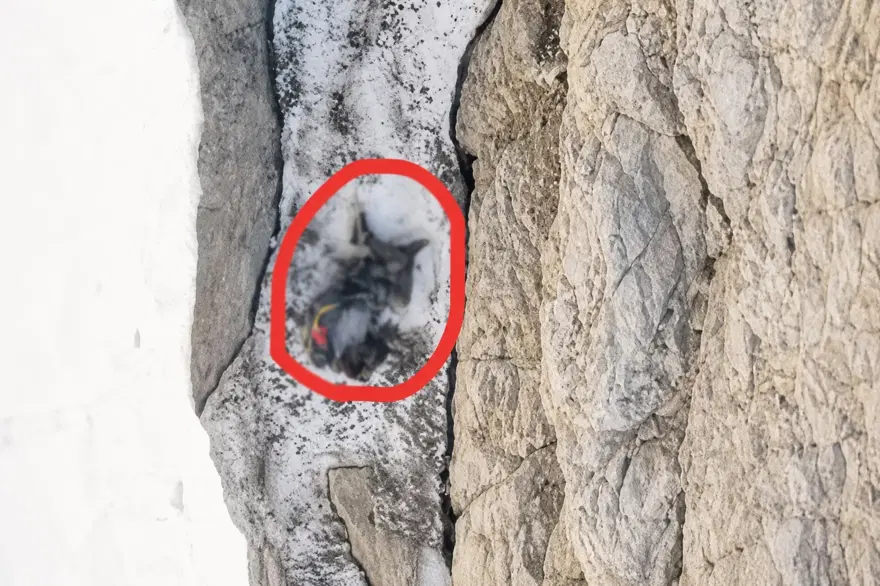Zirve tırmanışında feci ölüm: Ekipler cansız bedenini almaya çalışıyor 