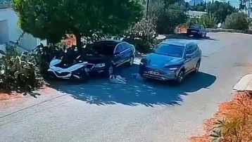 Otomobiliyle köpekleri ezip kaçtı. Sürücü için soruşturma başlatıldı