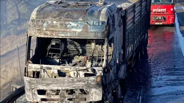 Seyir halindeki TIR alev aldı