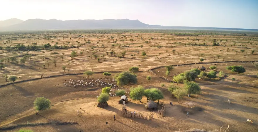 SAFARİ İÇİN YOLA ÇIKMIŞLARDI 1