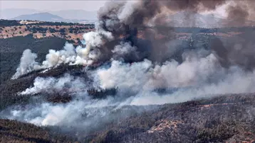 52 orman yangınına ilişkin soruşturma. 9 şüpheli tutuklandı