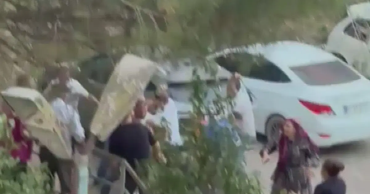 Pendik'te köpek havlaması kavgası