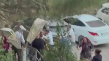 Pendik'te köpek havlaması kavgası