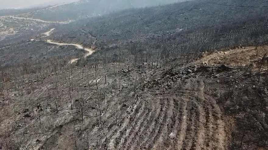 TAŞKIN, KURAKLIK VE ORMAN YANGINLARINDA ARTIŞ 3