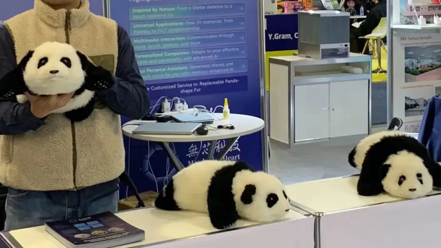 YETİŞKİNLER İÇİN BEBEK PANDA 12