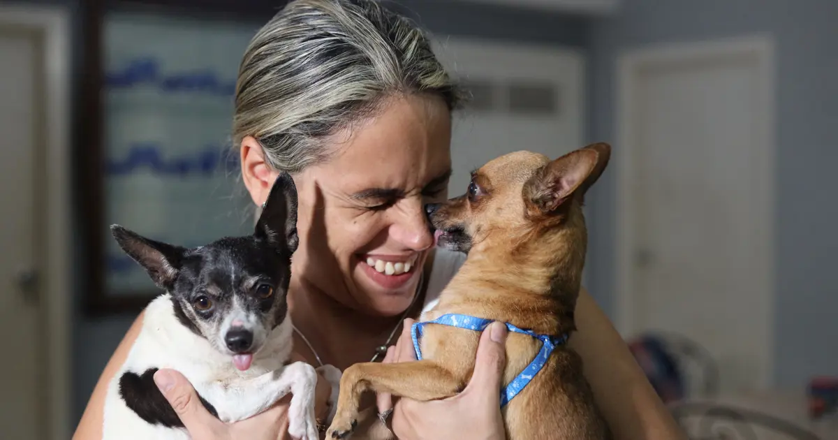 Bu ödül mamasını insanlar da yiyor. Evcil hayvanlarla ortak atıştırmalık