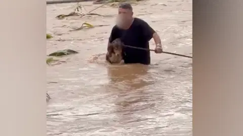 Sel sularında canını hiçe saydı: Köpekleri böyle kurtardı