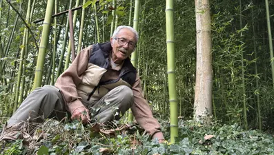 Yanında başka bitki yetişmiyor, kurutuyor! 5 kökle başladı, 10 yıldır yetiştiriyor "500 bin liranın üzerinde gelir elde ettim"