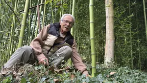 Yanında başka bitki yetişmiyor, kurutuyor! 5 kökle başladı, 10 yıldır yetiştiriyor "500 bin liranın üzerinde gelir elde ettim"