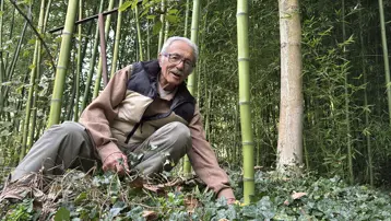 Yanında başka bitki yetişmiyor, kurutuyor! 5 kökle başladı, 10 yıldır yetiştiriyor "500 bin liranın üzerinde gelir elde ettim"
