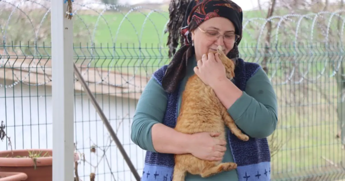 Doktor önerisiyle başlayan kedi sevgisi 40 kedilik yuvaya dönüştü