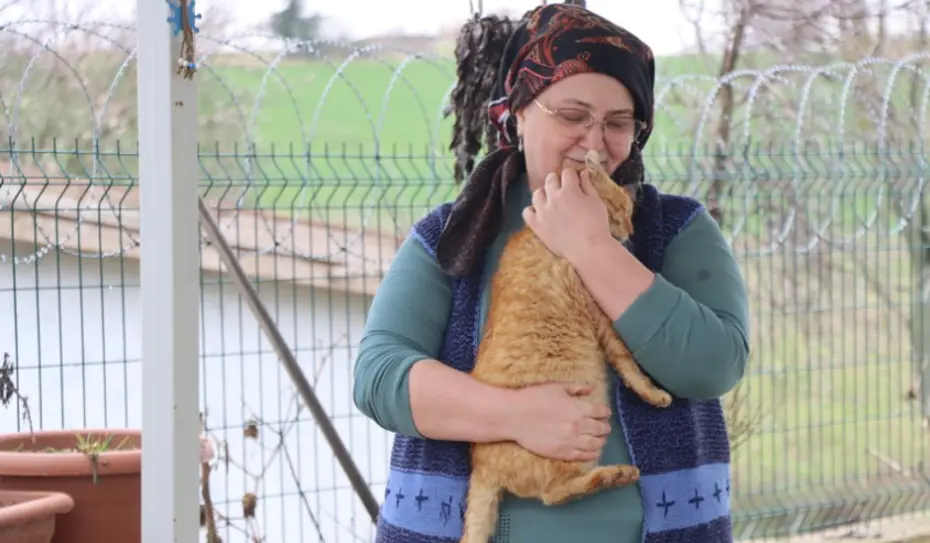 Doktor önerisiyle başlayan kedi sevgisi 40 kedilik yuvaya dönüştü
