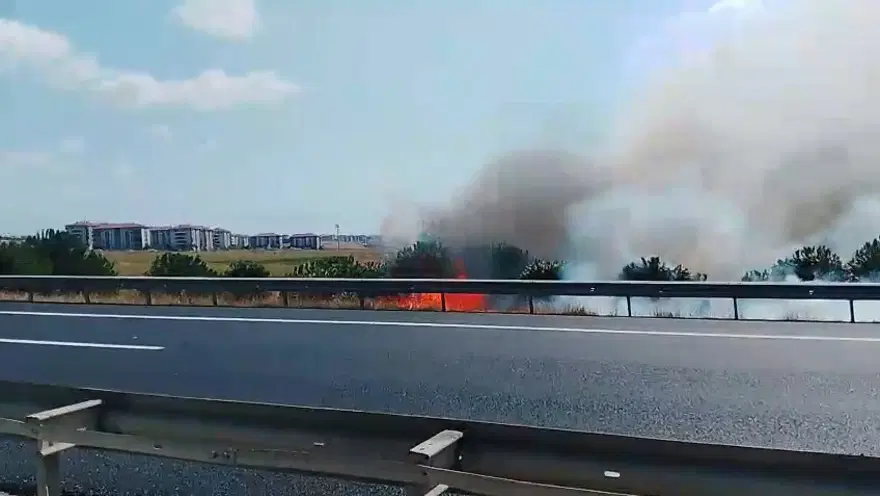 Silivri'de tarla yangını kontrol altına alındı 
