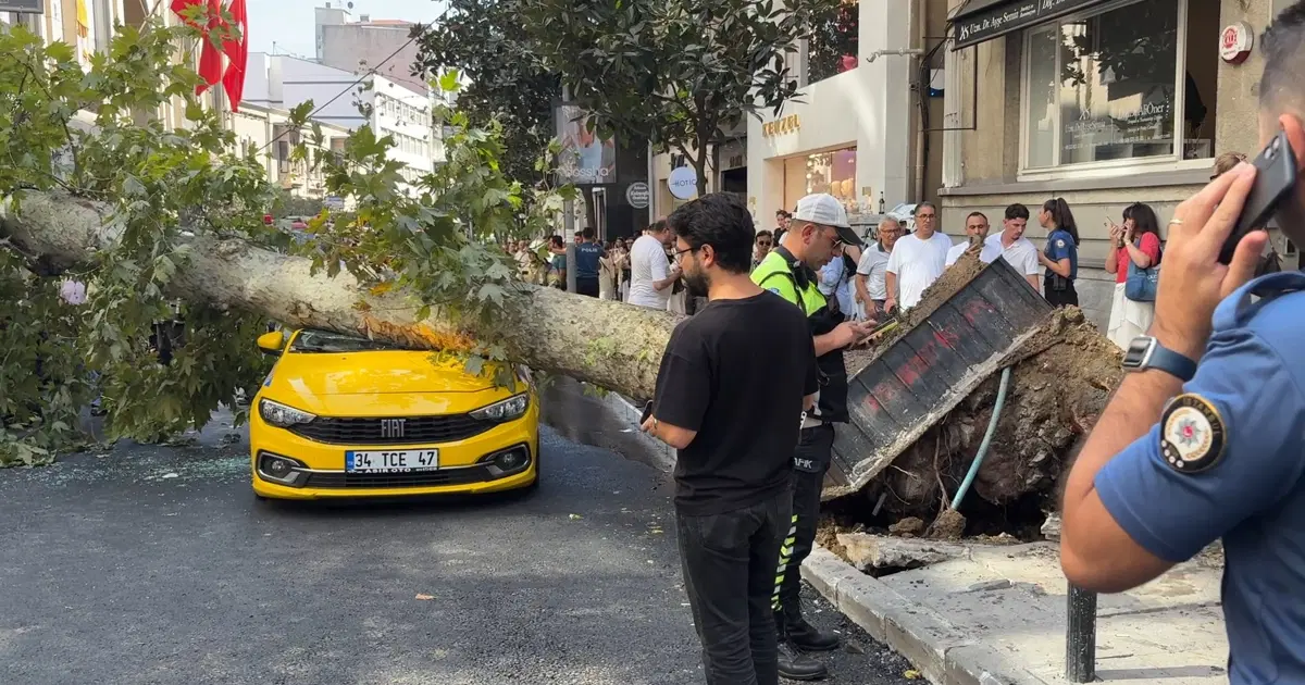Şişli'de iki aracın üzerine ağaç devrildi. Yol trafiğe kapatıldı