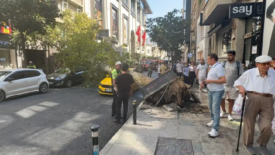Şişli'de iki aracın üzerine ağaç devrildi. Yol trafiğe kapatıldı 1 Şişli'de iki aracın üzerine ağaç devrildi. Yol trafiğe kapatıldı 1