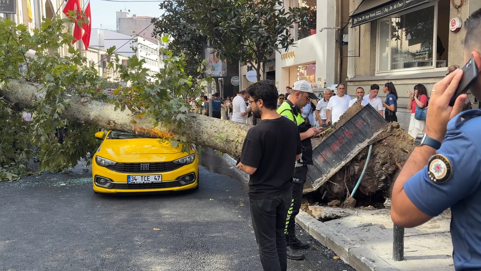Şişli'de iki aracın üzerine ağaç devrildi. Yol trafiğe kapatıldı