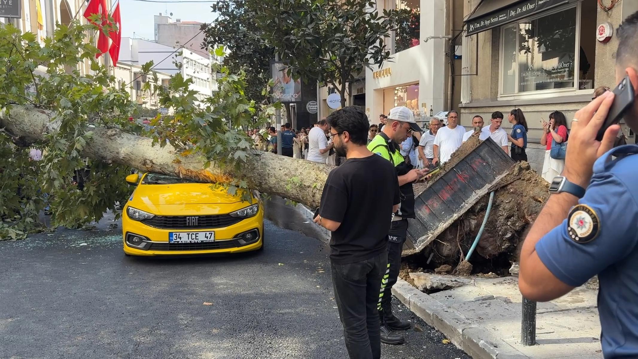 Şişli'de iki aracın üzerine ağaç devrildi. Yol trafiğe kapatıldı