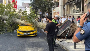 Şişli'de iki aracın üzerine ağaç devrildi. Yol trafiğe kapatıldı