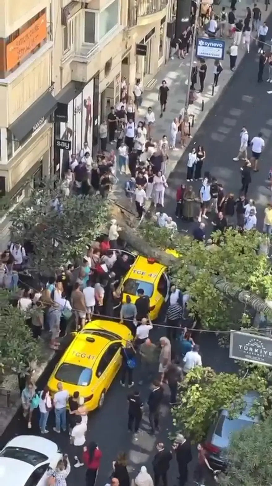 Şişli'de iki aracın üzerine ağaç devrildi. Yol trafiğe kapatıldı 2 Şişli'de iki aracın üzerine ağaç devrildi. Yol trafiğe kapatıldı 2