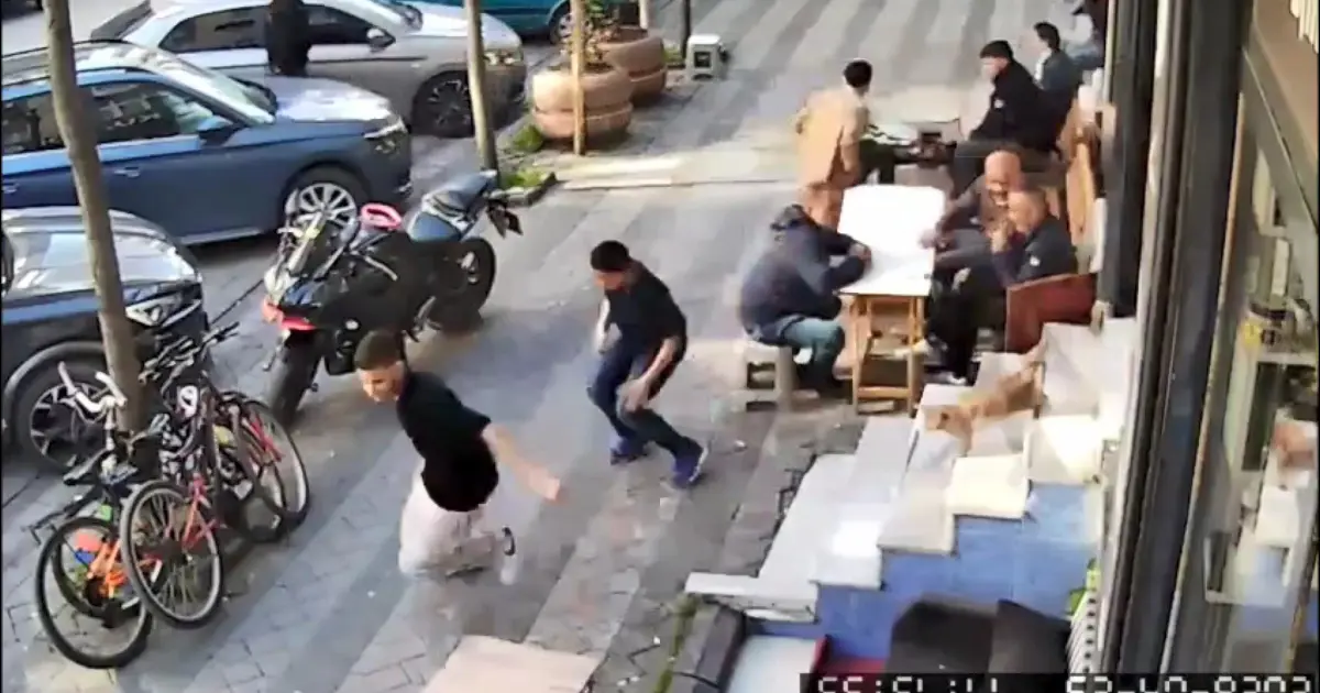 Müşteriler kaçtı, kedi peşlerini bırakmadı