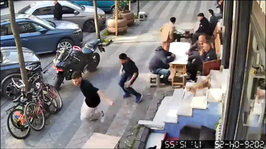 Müşteriler kaçtı, kedi peşlerini bırakmadı