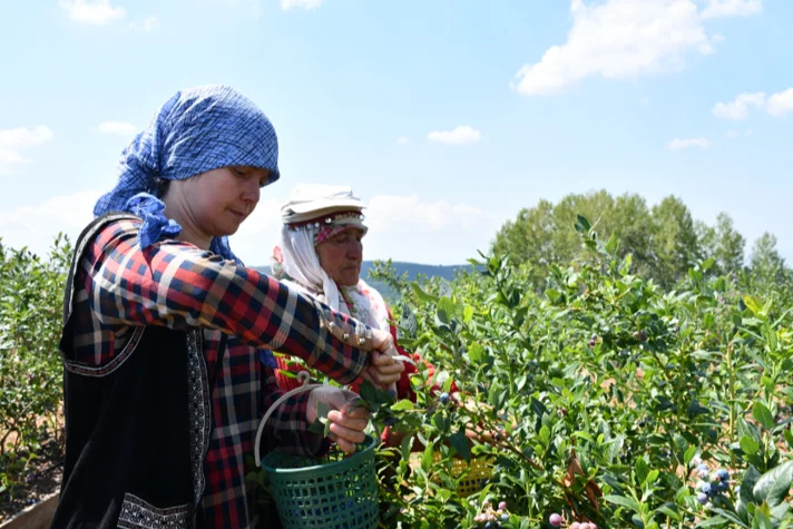 Kahvehanede oturmak yerine dağa çıktı