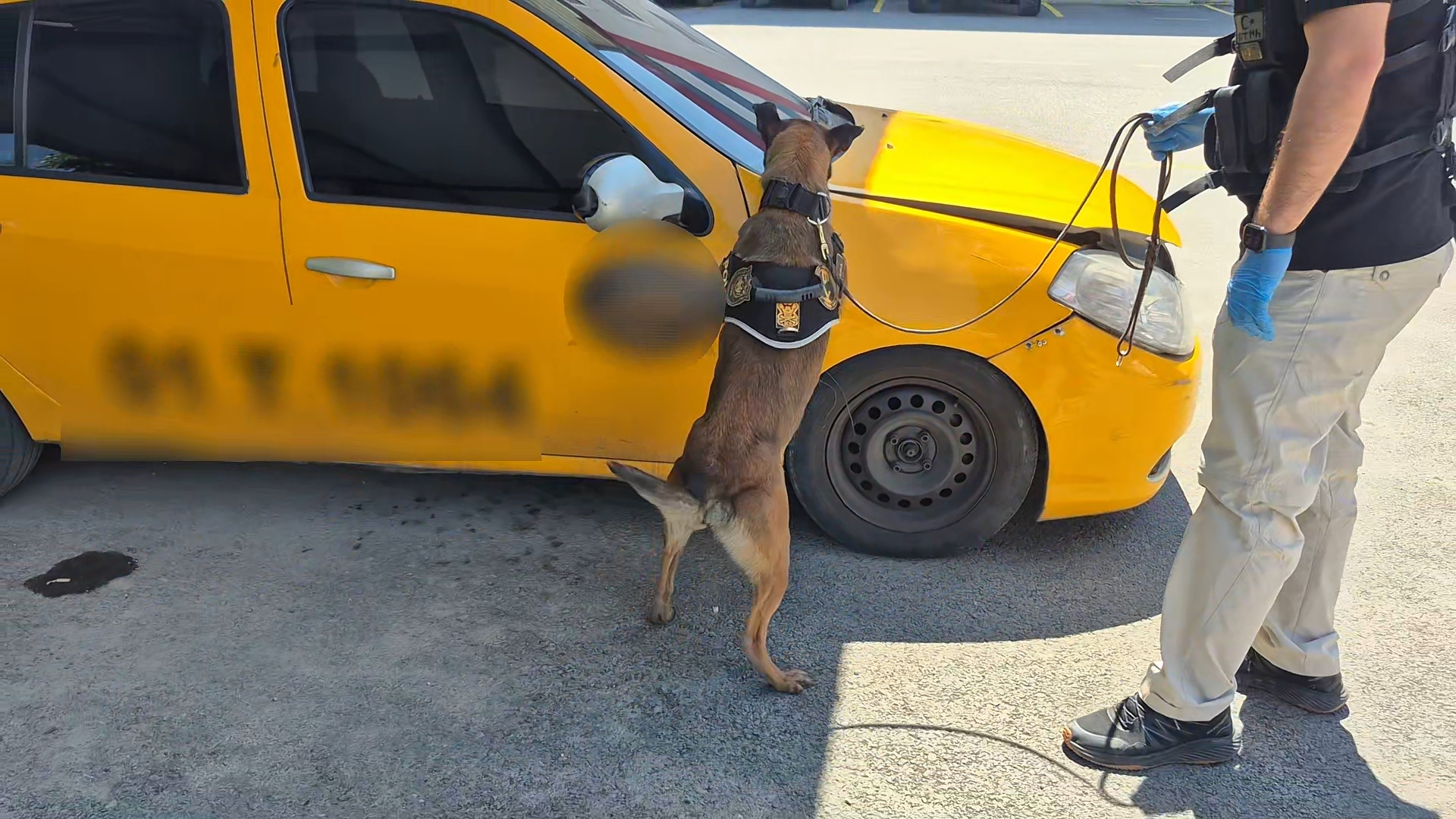Narkotik köpeği takside 2 kilo uyuşturucu buldu