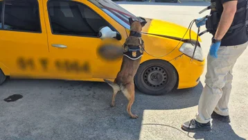 Narkotik köpeği takside 2 kilo uyuşturucu buldu
