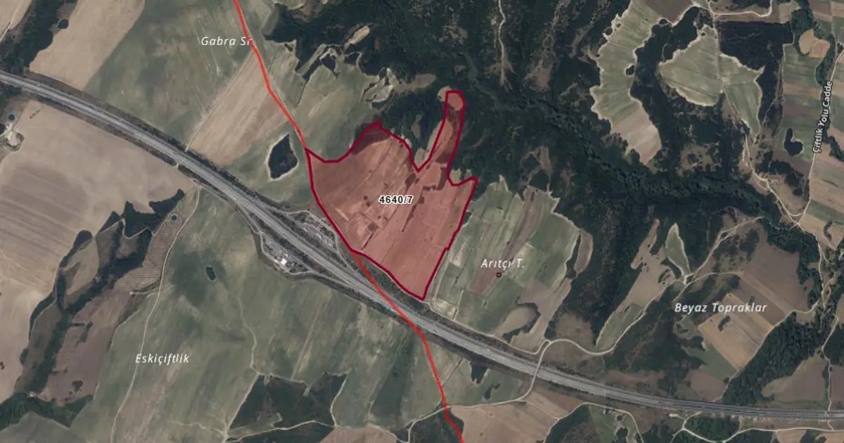 Yargıtay'dan ortak tapular için kritik karar. Tarla satışında bu ayrıntıya dikkat