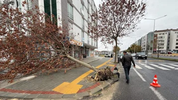 Tekirdağ'da fırtına alarmı. Eğitim uçuşları iptal edildi, balıkçılar denize açılamadı
