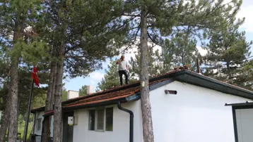 200 nüfuslu mahallenin çilesi yıllardır bitmiyor. Taşınanlar dayanamayıp gidiyor