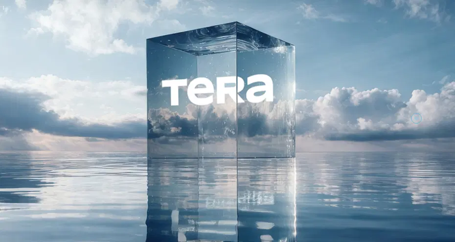 Tera Portföy'de neler yaşandı, neden buralara gelindi? Şirket durumu nasıl değerlendiriyor?