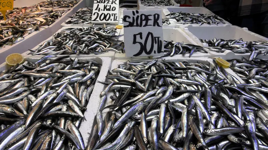 Fiyatı düşünce ilgi arttı: İstavrit tezgahta yerini ona bıraktı 