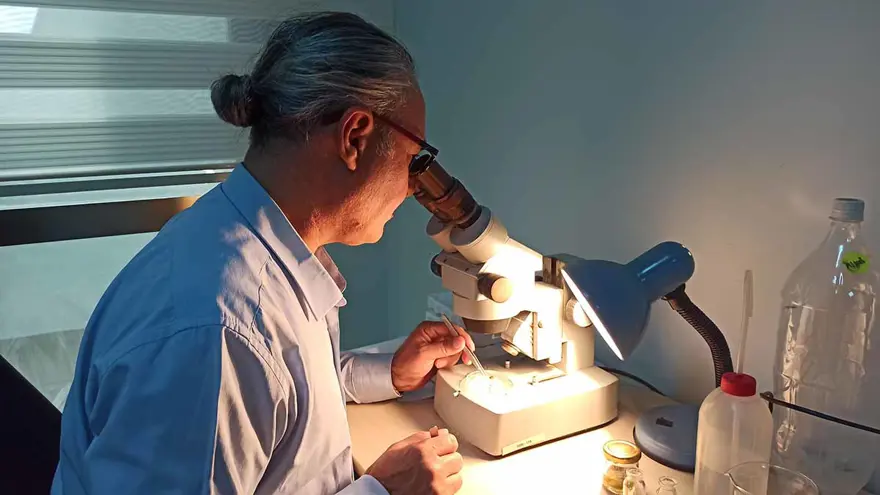 Yeni yengeç türü Hint-Pasifik'ten Türkiye'ye geldi, ilk kez görüntülendi  2