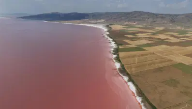 Türkiye'nin en büyük ikinci gölü renk değiştirdi, pembe oldu