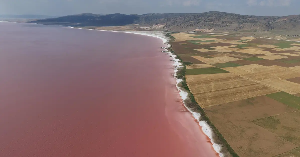 Türkiye'nin en büyük ikinci gölü renk değiştirdi, pembe oldu