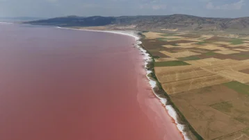 Türkiye'nin en büyük ikinci gölü renk değiştirdi, pembe oldu