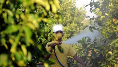 Bitkiye ilaç artık reçeteyle alınacak. 5 soruda "B-Reçete" uygulaması