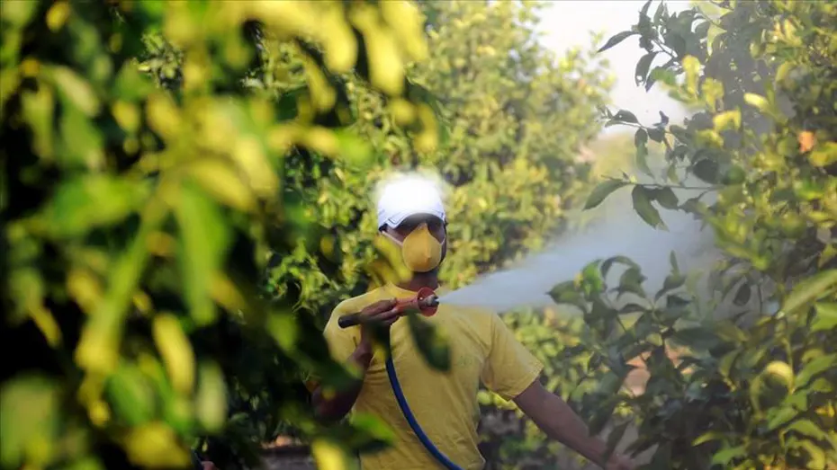 Bitkiye ilaç artık reçeteyle alınacak. 5 soruda 