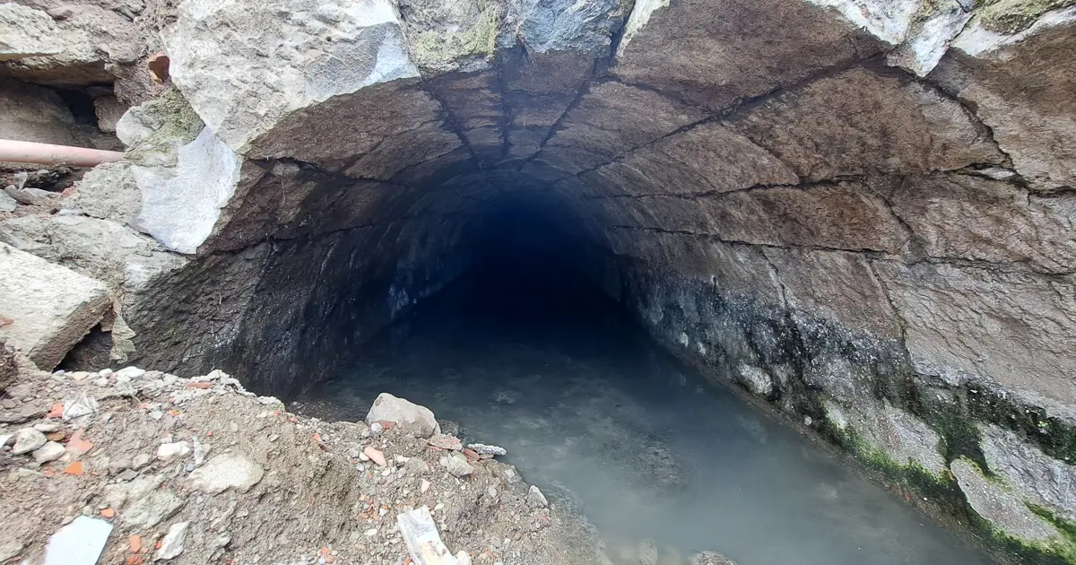 Türkiye'de bir örneği daha yok. Trabzon'da ortaya çıktı, uzmanlar da şaşırdı