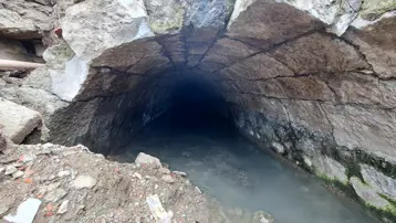 Türkiye'de bir örneği daha yok. Trabzon'da ortaya çıktı, uzmanlar da şaşırdı