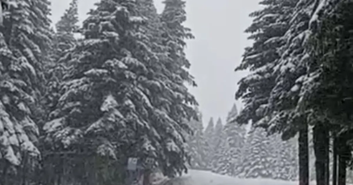 Uludağ’da kar kalınlığı 5 santimetreye ulaştı