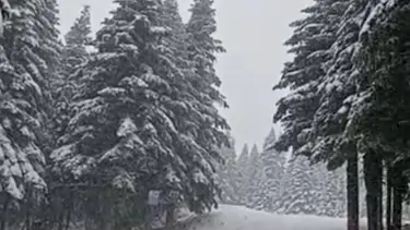 Uludağ’da kar kalınlığı 5 santimetreye ulaştı