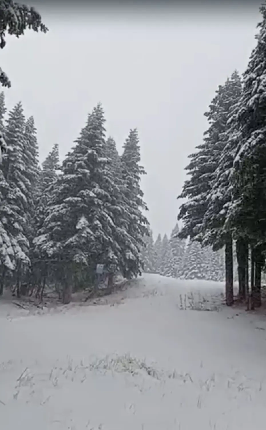 Uludağ’da kar kalınlığı 5 santimetreye ulaştı