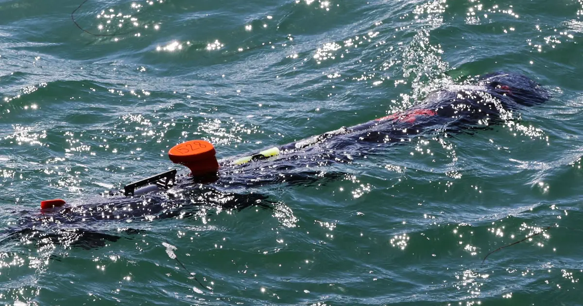 Görünmeyen tehdit: Su altında yüzlerce kilometre ilerleyip saldırı yapabiliyor